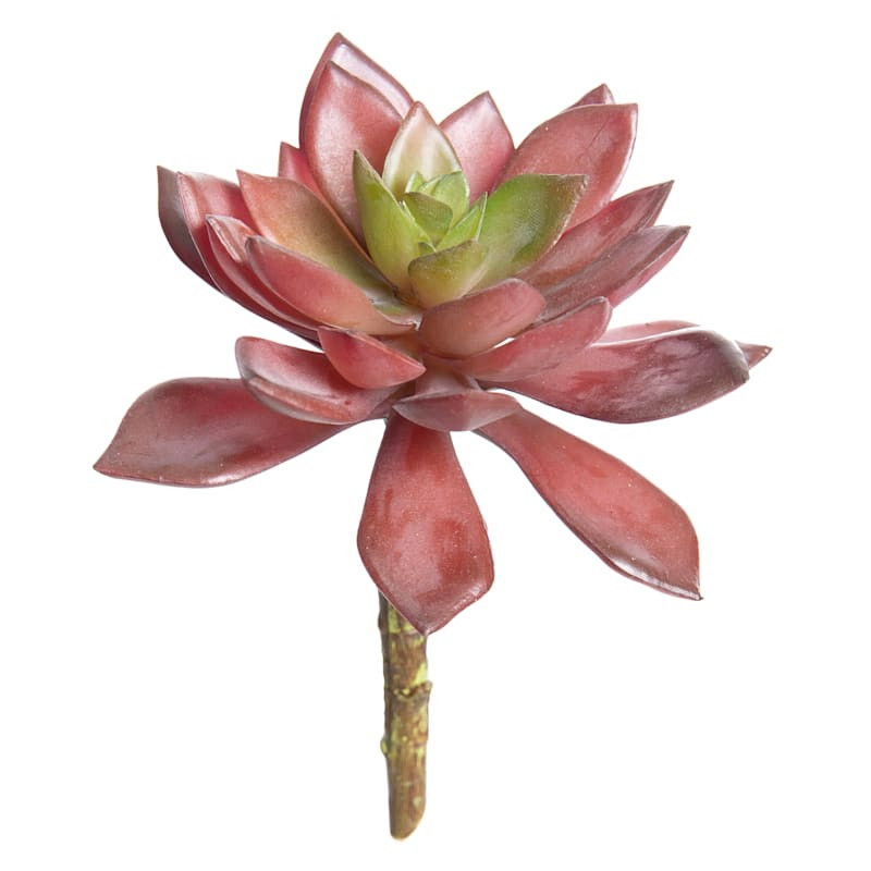 Maroon Echeveria Succulent Pick, 6" | At Home