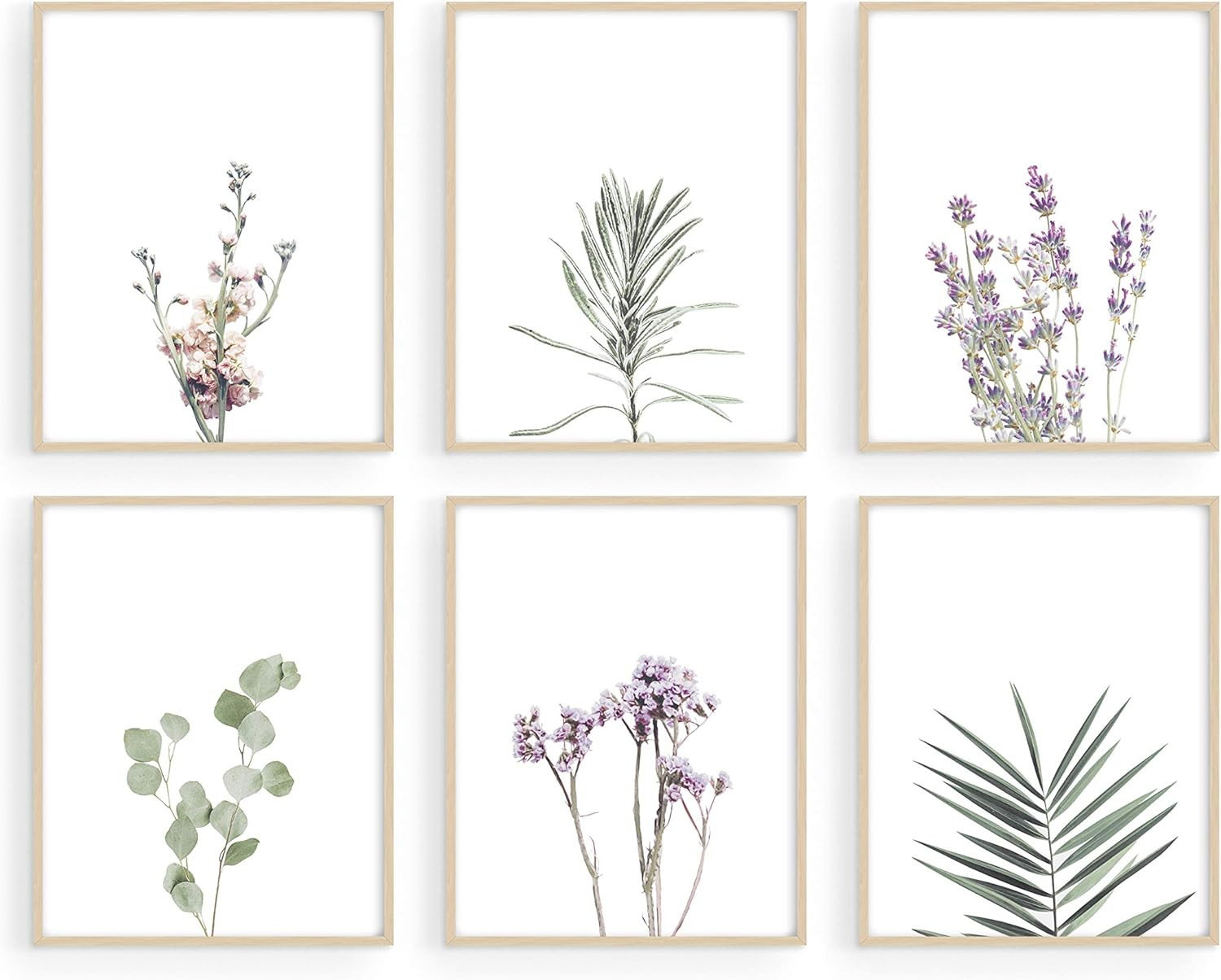 Floral Prints and Plant Posters - by Haus and Hues | Set of 6 Botanical Prints Set and Floral Wal... | Amazon (US)