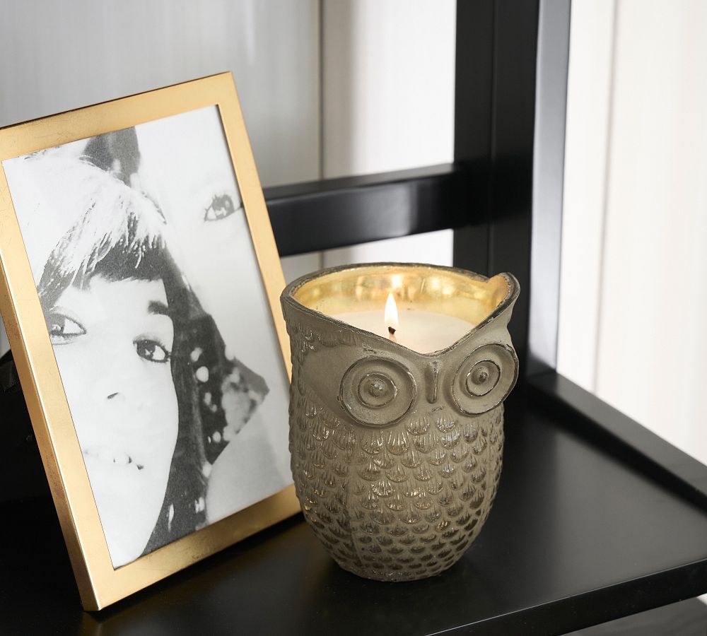 Rustic Glass Owl Candle - Amber Incense | Pottery Barn (US)