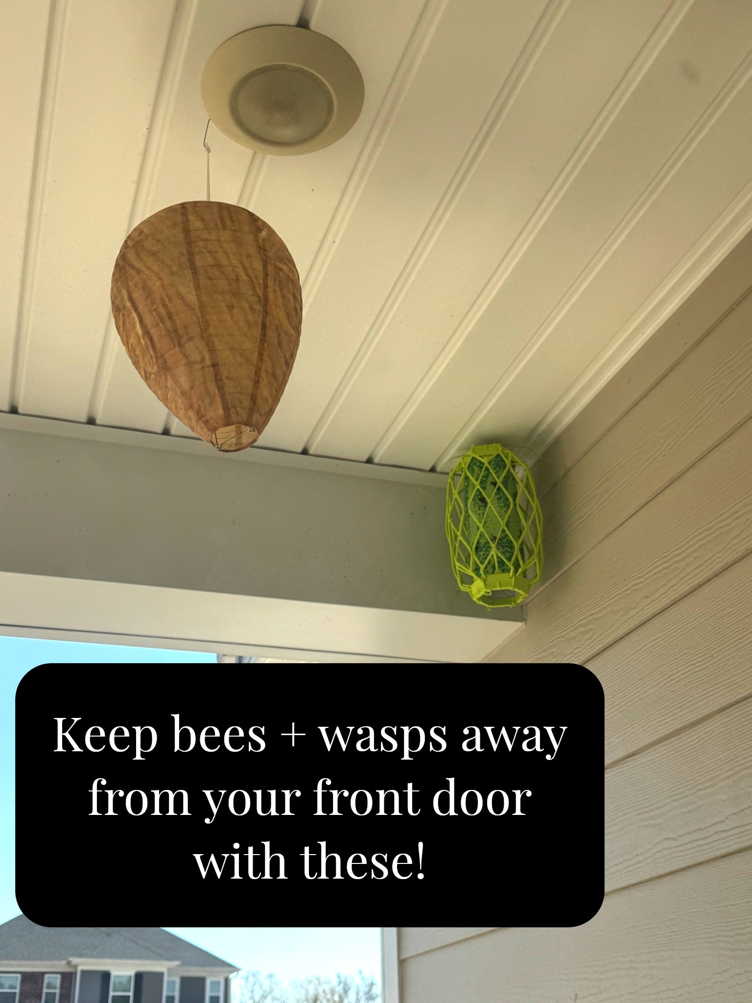 If you want to keep bees away from your front porch (or from making nests) HIGHLY RECOMMEND these! You all know my insane fear of bees/wasps 😭



#LTKdayinmylife #LTKSeasonal #LTKstorytime