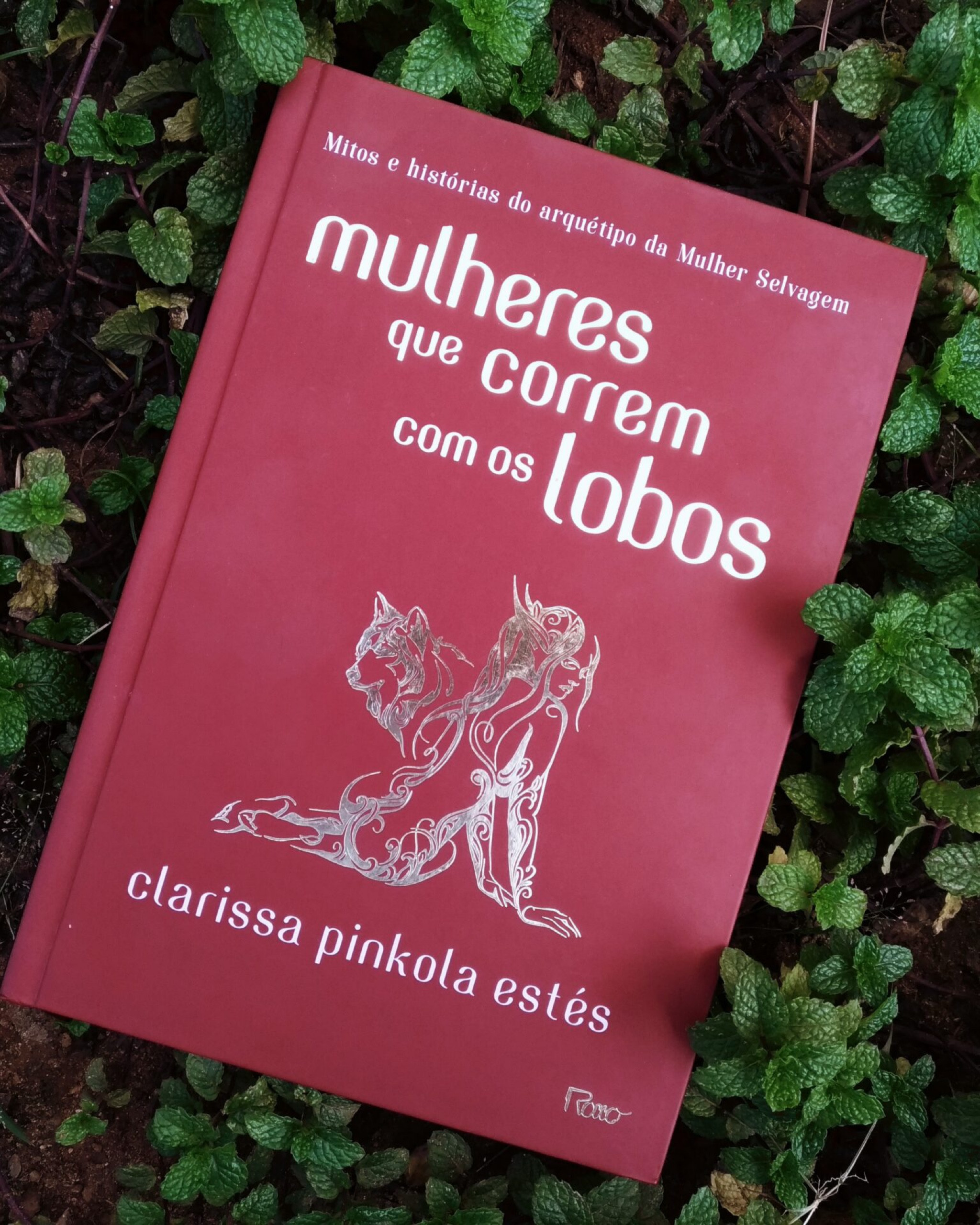Esse livro de capa dura que eu amo está de promoção. 

#LTKstyletip #LTKbrasil #LTKsalealert