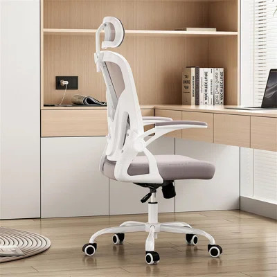 Ergonomic Office Chair, Office Desk Chair With Headrest, High Back Computer Chair With Armrests And Adjustable Lumbar Support For Office Study Room | Wayfair North America
