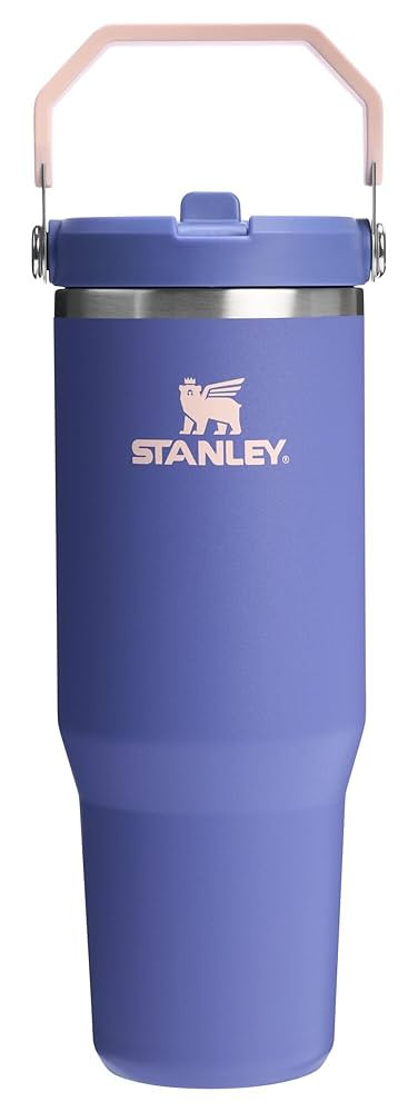 Stanley IceFlow 2.0 Flip Straw Tumbler with Handle 30 oz | Twist On Lid and Flip Up Straw | Leak ... | Amazon (US)