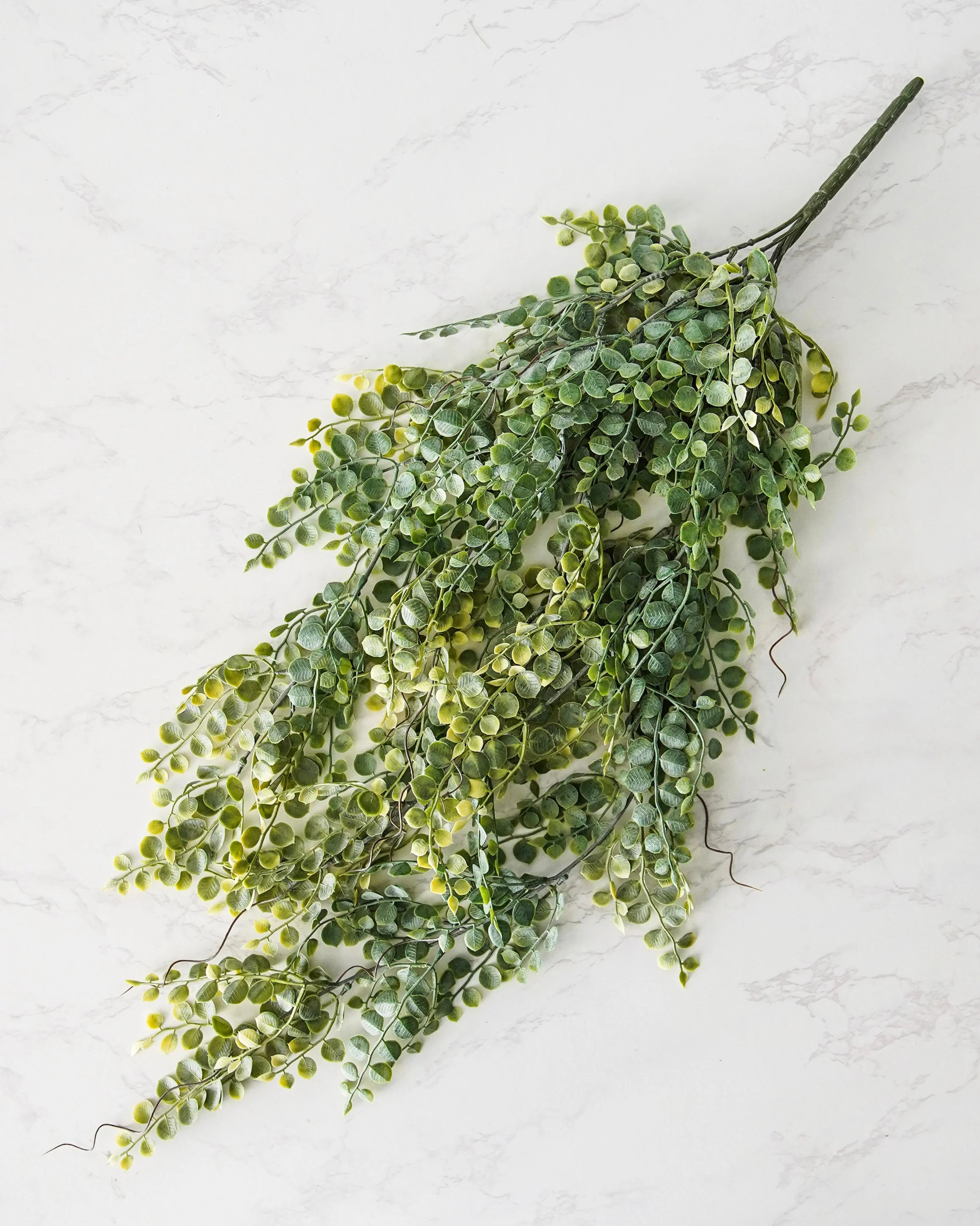 Meadow Eucalyptus Hanging Stem | MJHome