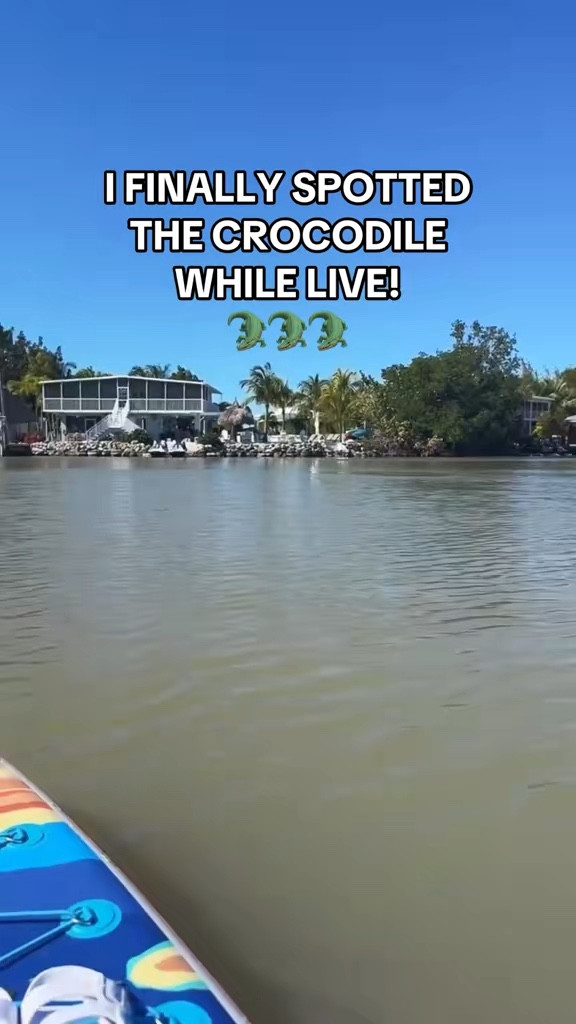 I CAN’T BELIEVE THIS HAPPENED😱

#LTKSeasonal #LTKTravel #LTKSwim