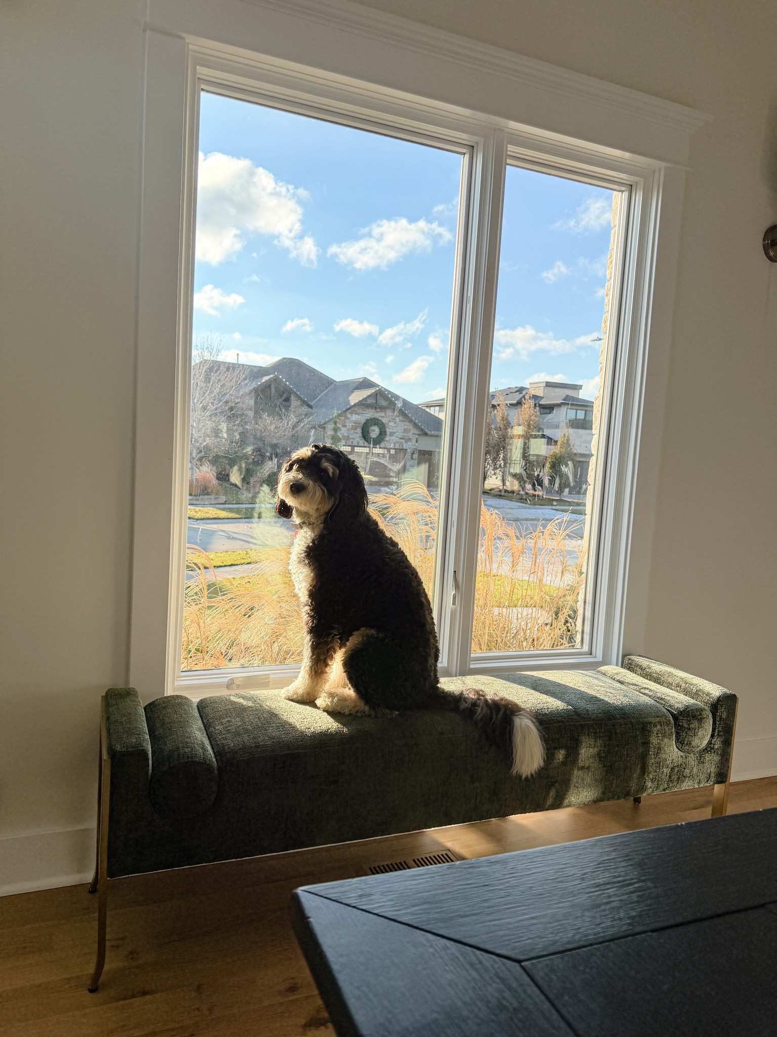 Soaking up the sunshine! ☀️ Bench perfect for a window, entryway, or end of a bed. On SALE 20% off!

#LTKdayinmylife #LTKHome #LTKSaleAlert