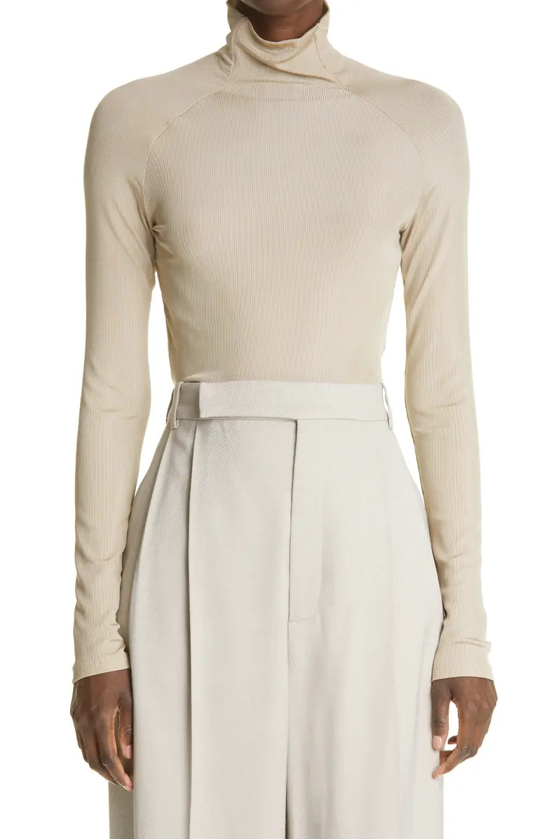 Long Sleeve Rib Turtleneck | Nordstrom