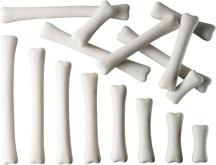 Yellow Door Dinosaur Bones Match & Measure Set, Multi | Amazon (US)