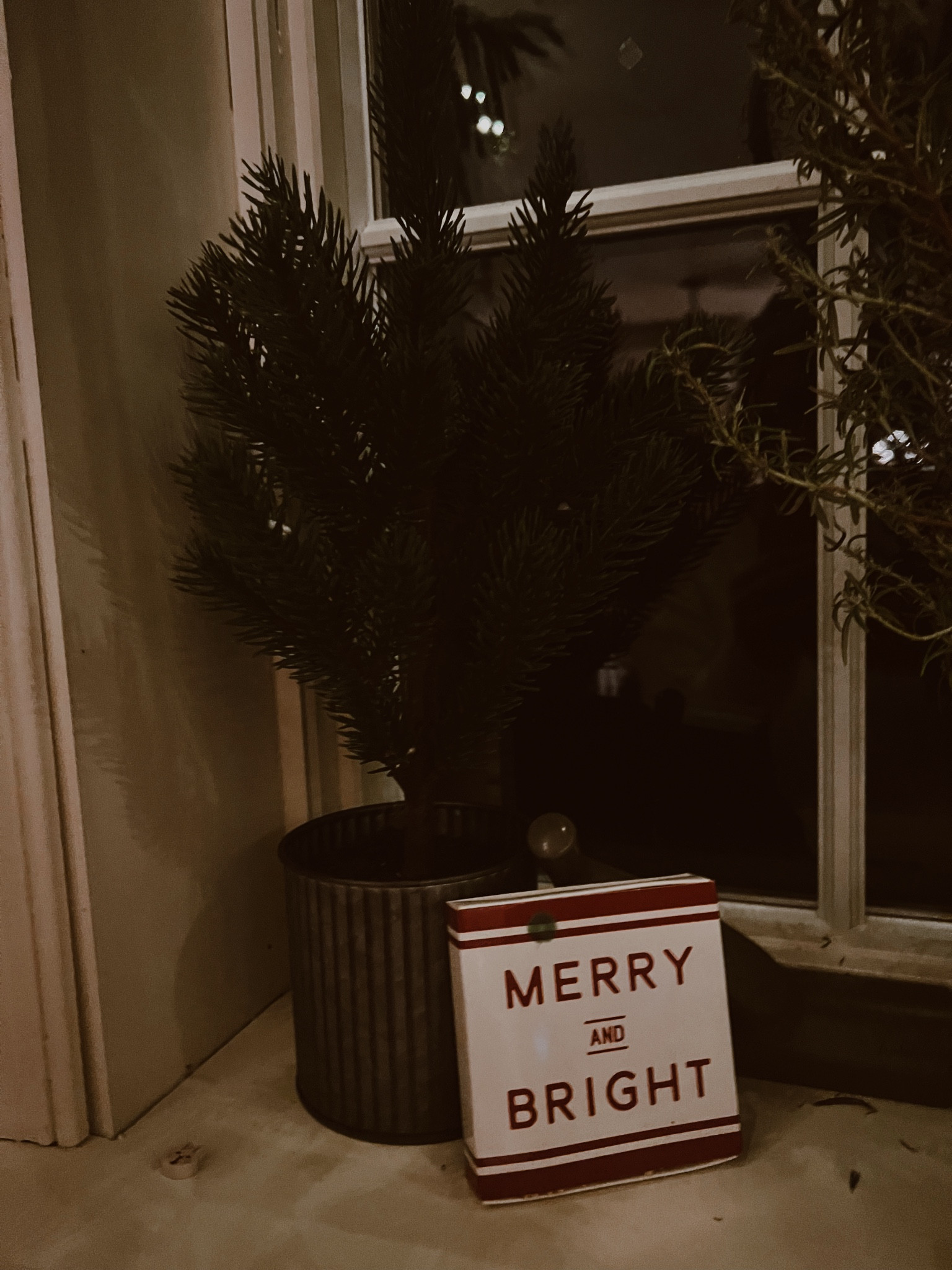 Cute little christmas trees 🎄 

#LTKSeasonal #LTKHome #LTKHoliday