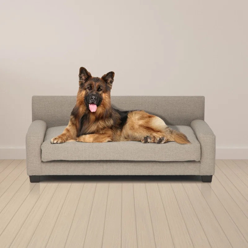 Orthopedic Dog Sofa | Wayfair North America