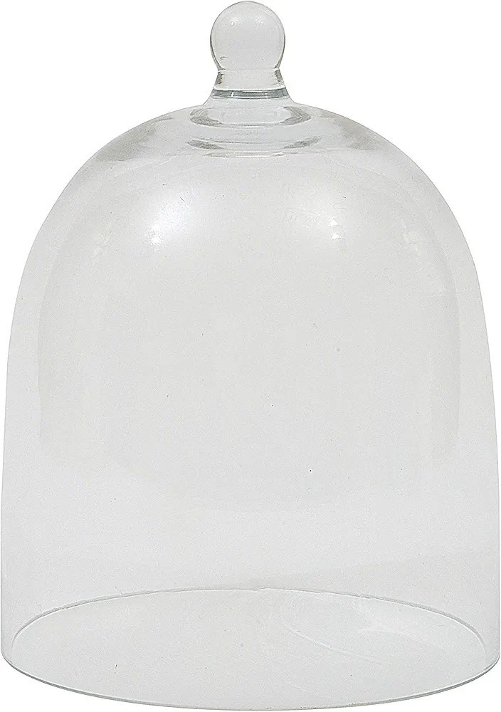 Creative Co-op DA3225 Clear Glass Cloche | Amazon (US)