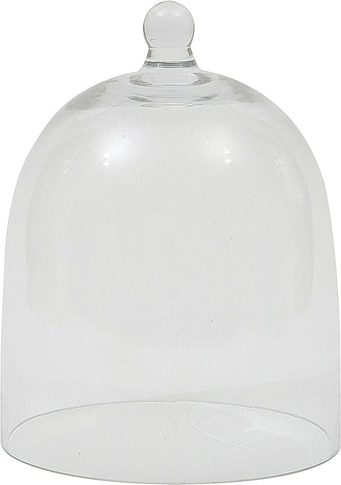 Creative Co-op DA3225 Clear Glass Cloche | Amazon (US)