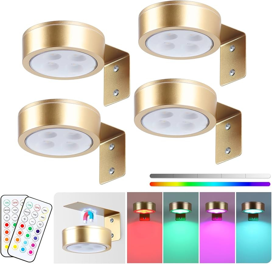 4-Pack Picture Light Battery Operated Painting Lights, 13 Color RGB Magnetic LED Display Art Ligh... | Amazon (US)