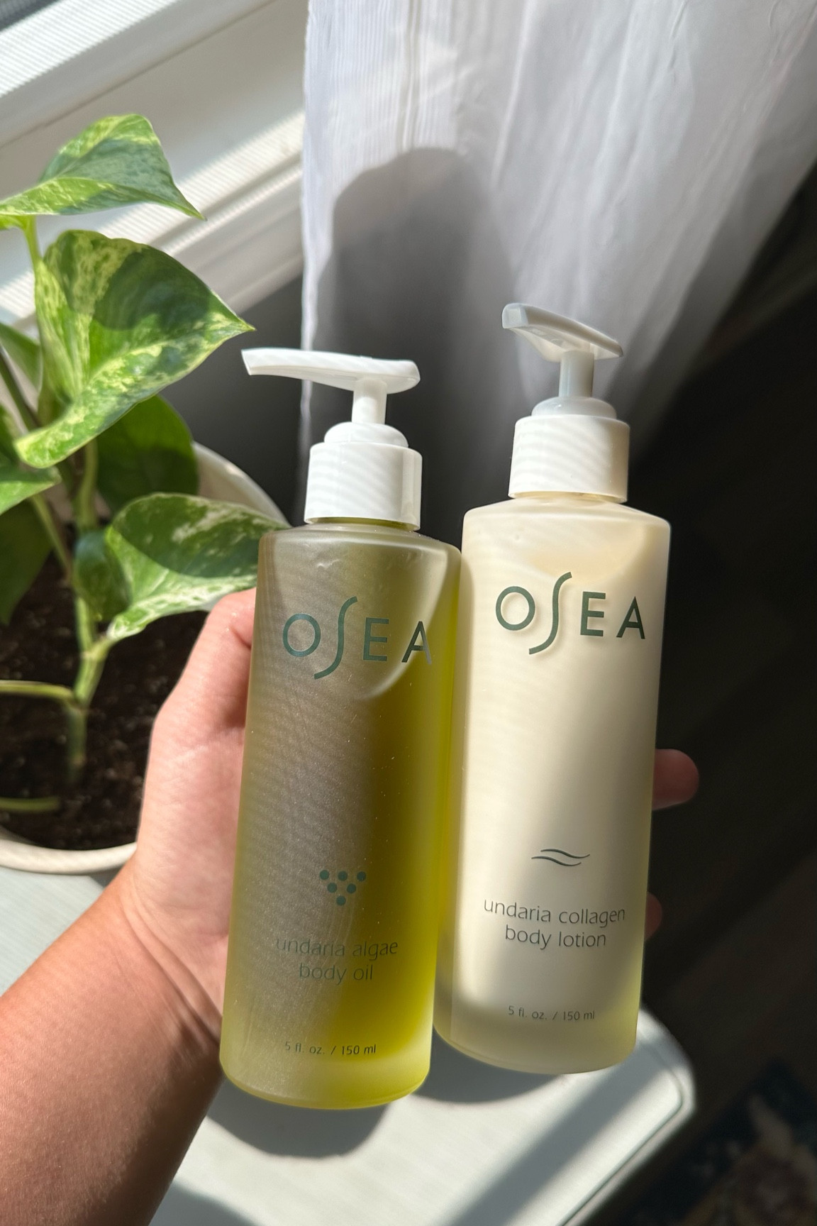 FAVORITE OSEA PRODUCTS

#LTKunder50 #LTKbeauty #LTKunder100