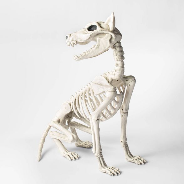 Large Sitting Wolf Skeleton Halloween Decorative Prop - Hyde & EEK! Boutique™ | Target