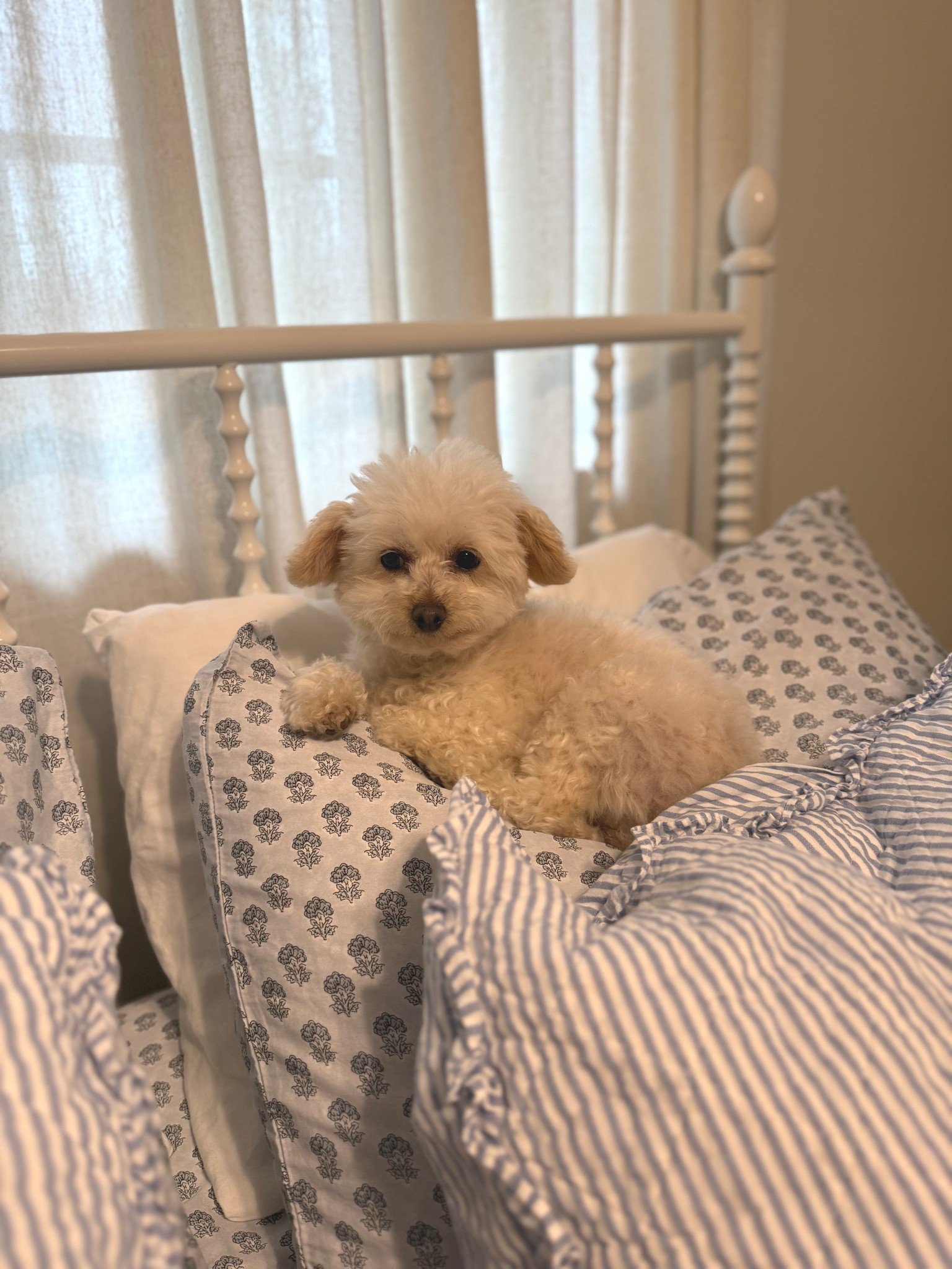 Guest room makeover is in full swing! Stay tuned for the for reveal🤍🫶🏼🛏️

#LTKHome