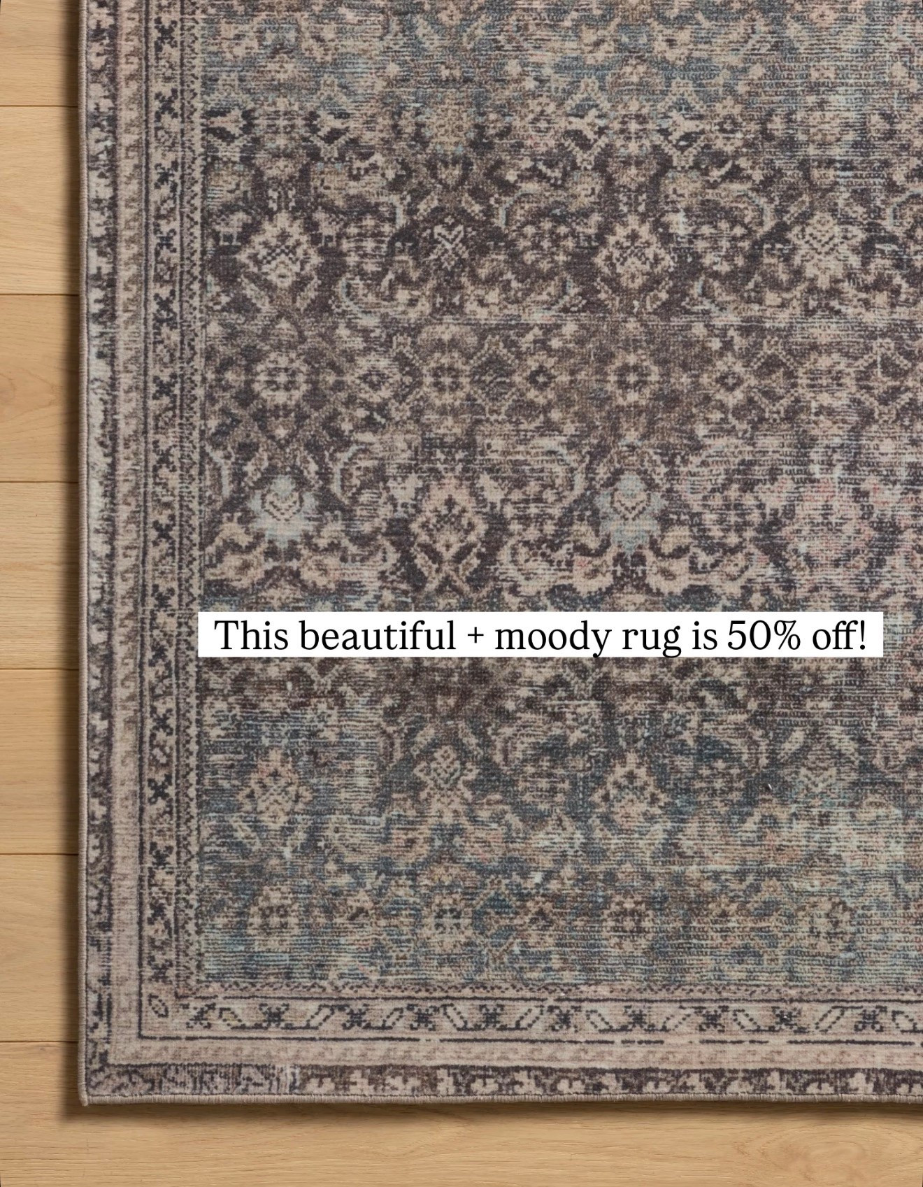 This pretty and moody rug is on clearance, 50% off for a 7x10’!

#LTKHome #LTKSaleAlert