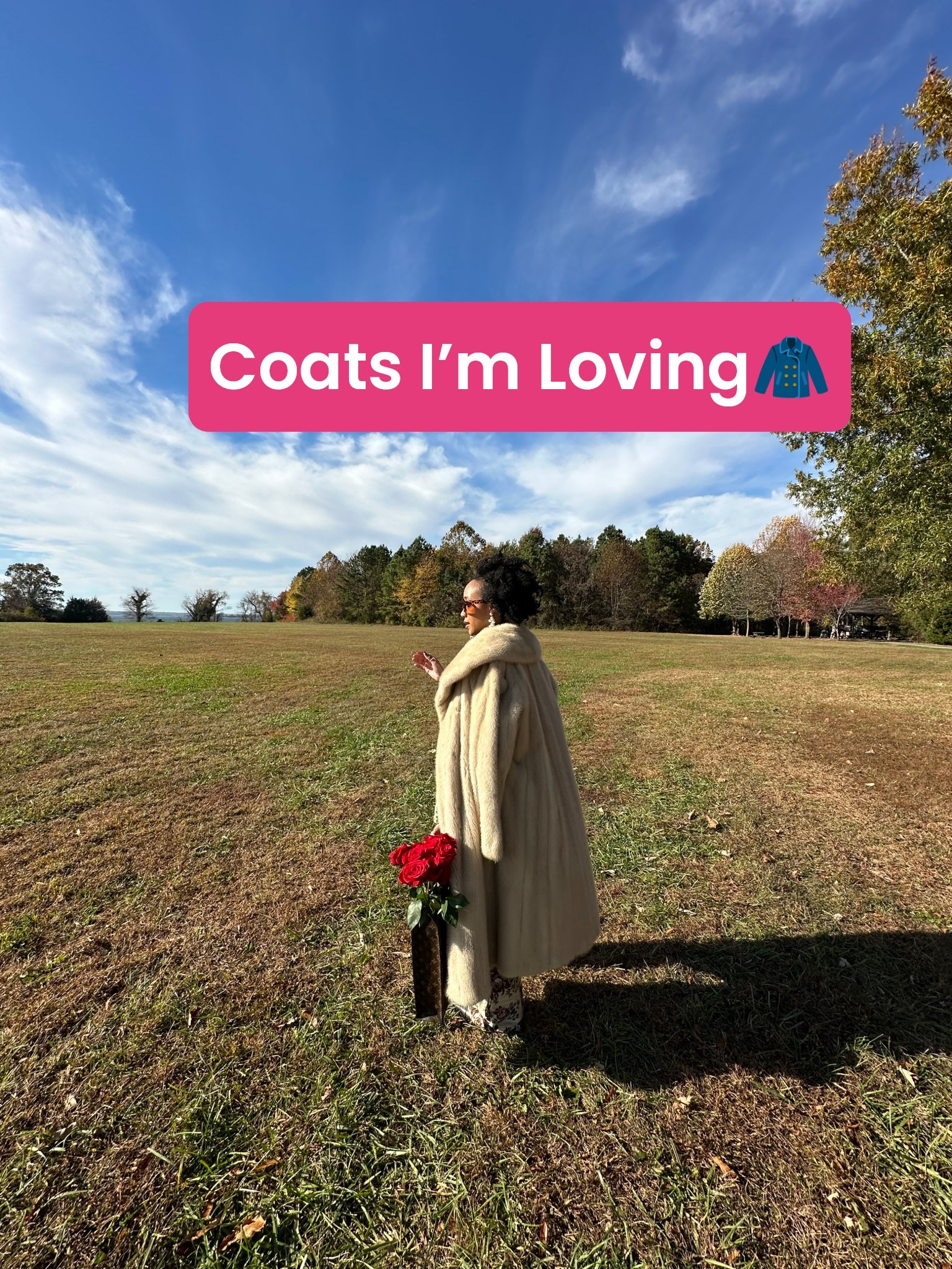 It’s getting cold. Time to bundle up. Here’s some coats I’m loving  

#LTKootd #LTKGiftGuide #LTKSeasonal