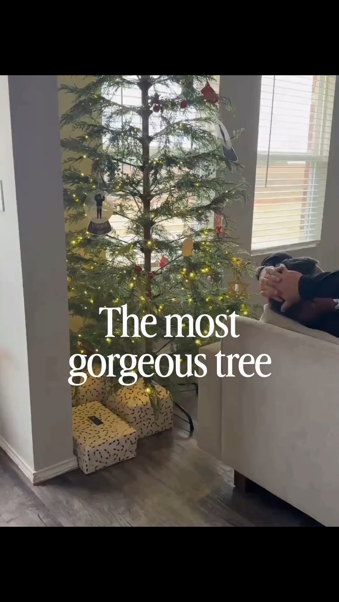 Shown in the 9’ my Texas house tree