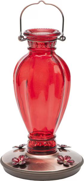 Perky-Pet Daisy Vase Vintage Glass Hummingbird Feeder, Red | Chewy.com