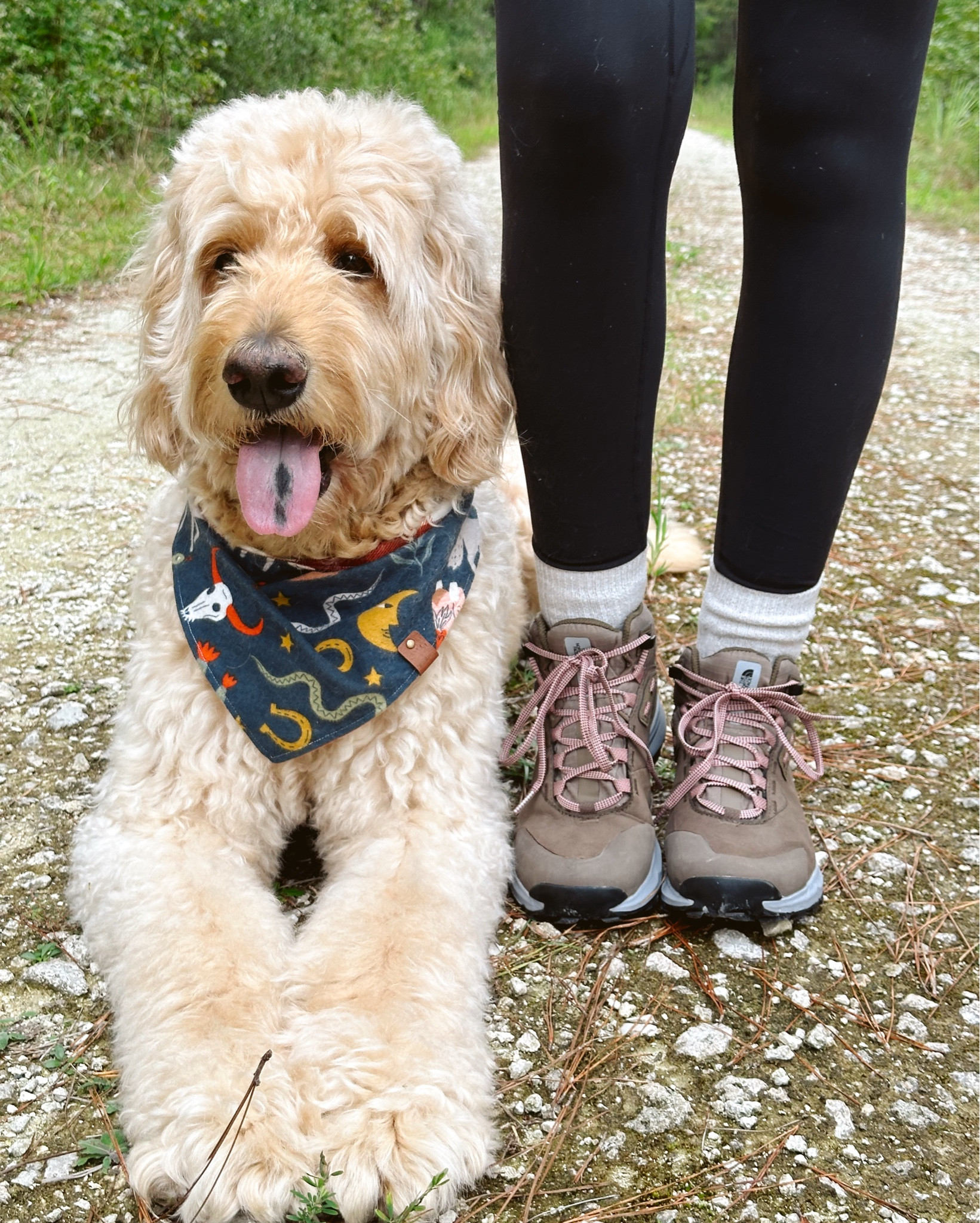 Cooler temps approaching makes me want to go camping & hiking!! I’ve been on the hunt for a good pair of hiking shoes, & I’m so excited to have found these from ‘The North Face’ online at Shoebacca.com!

I sized up a half size, and they fit perfectly!

Hiking boots
Fall outfits 
Fall activities 
Camping 
Active wear 

#LTKFitness #LTKShoeCrush #LTKTravel
