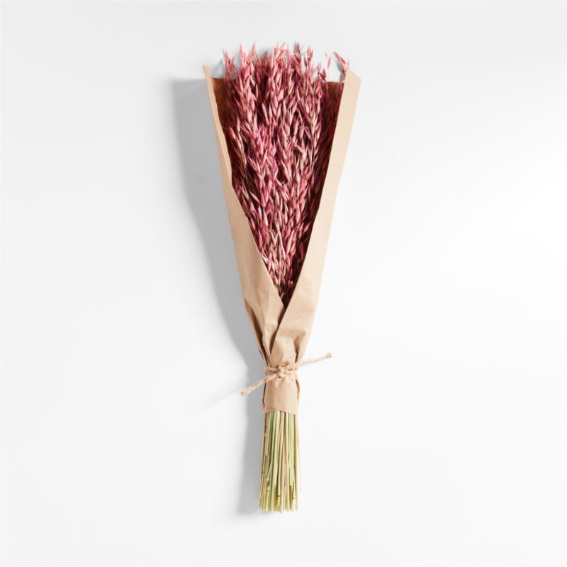 Pink Oat Decorative Dried Botanical Bunch + Reviews | Crate & Barrel | Crate & Barrel
