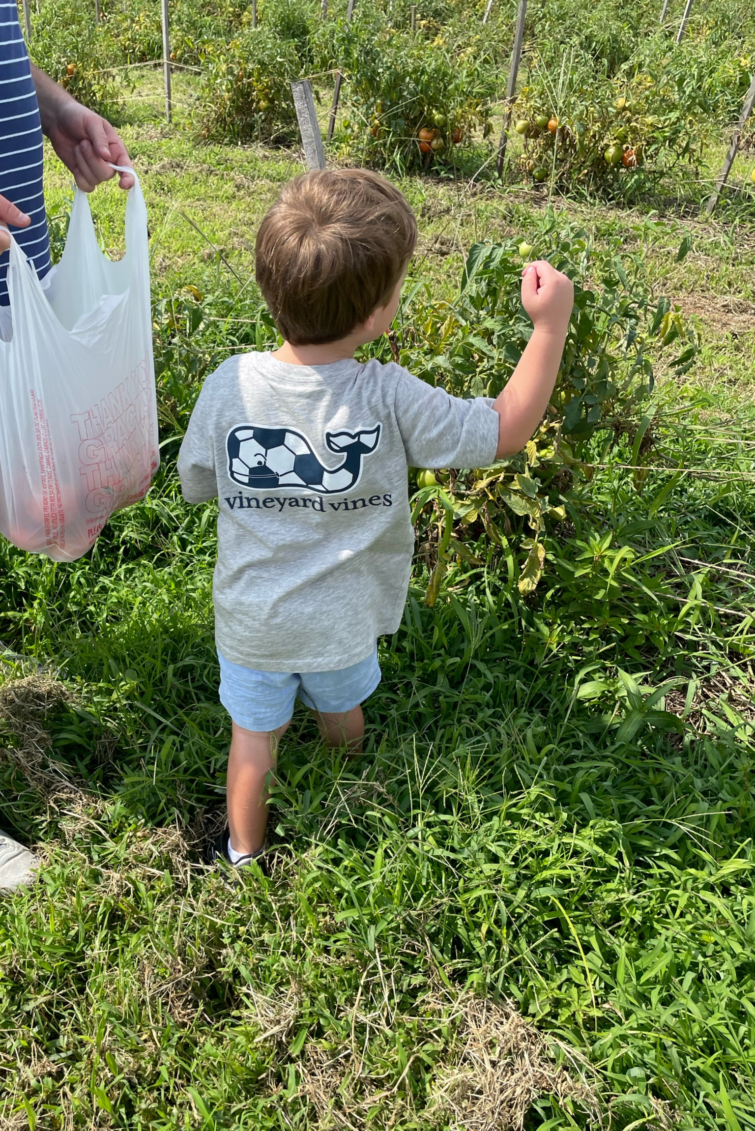 Our son loves these little sports tees. Perfect for running around.

#vineyardvines #toddlerstyle 

#LTKKids #LTKSeasonal