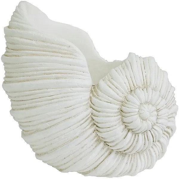 7" Cement Nautilus Shell Planter | Bed Bath & Beyond