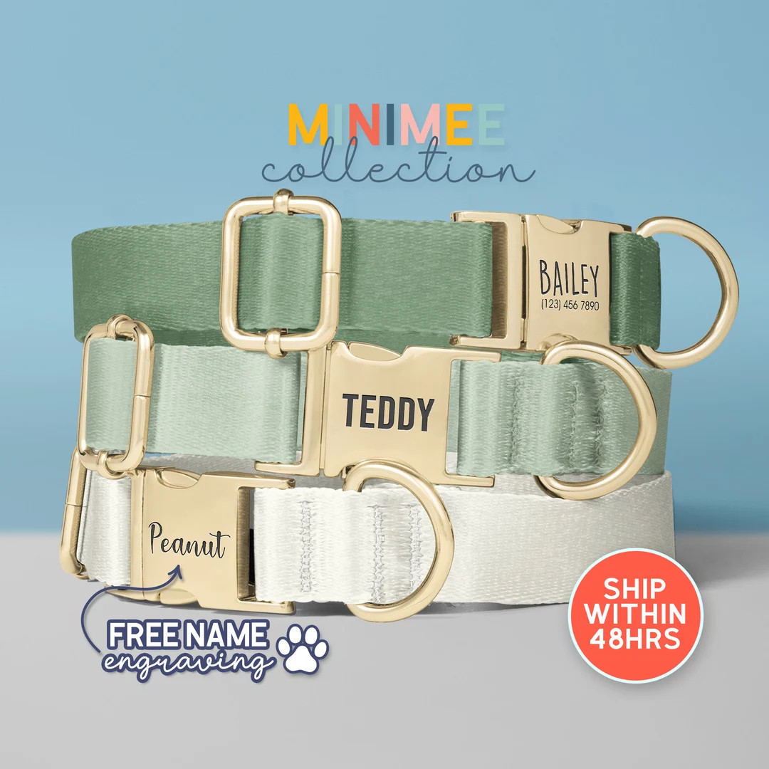 Custom Pet Collar, Forestgreenmint, Dog Collar Leash Set With Bow, Personalized Engraved Collar, ... | Etsy (US)