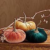 Large Velvet Pumpkins Set of 3 Includes Harvest Gold and Emerald, Handmade Home Decor, Holiday Mantl | Amazon (US)