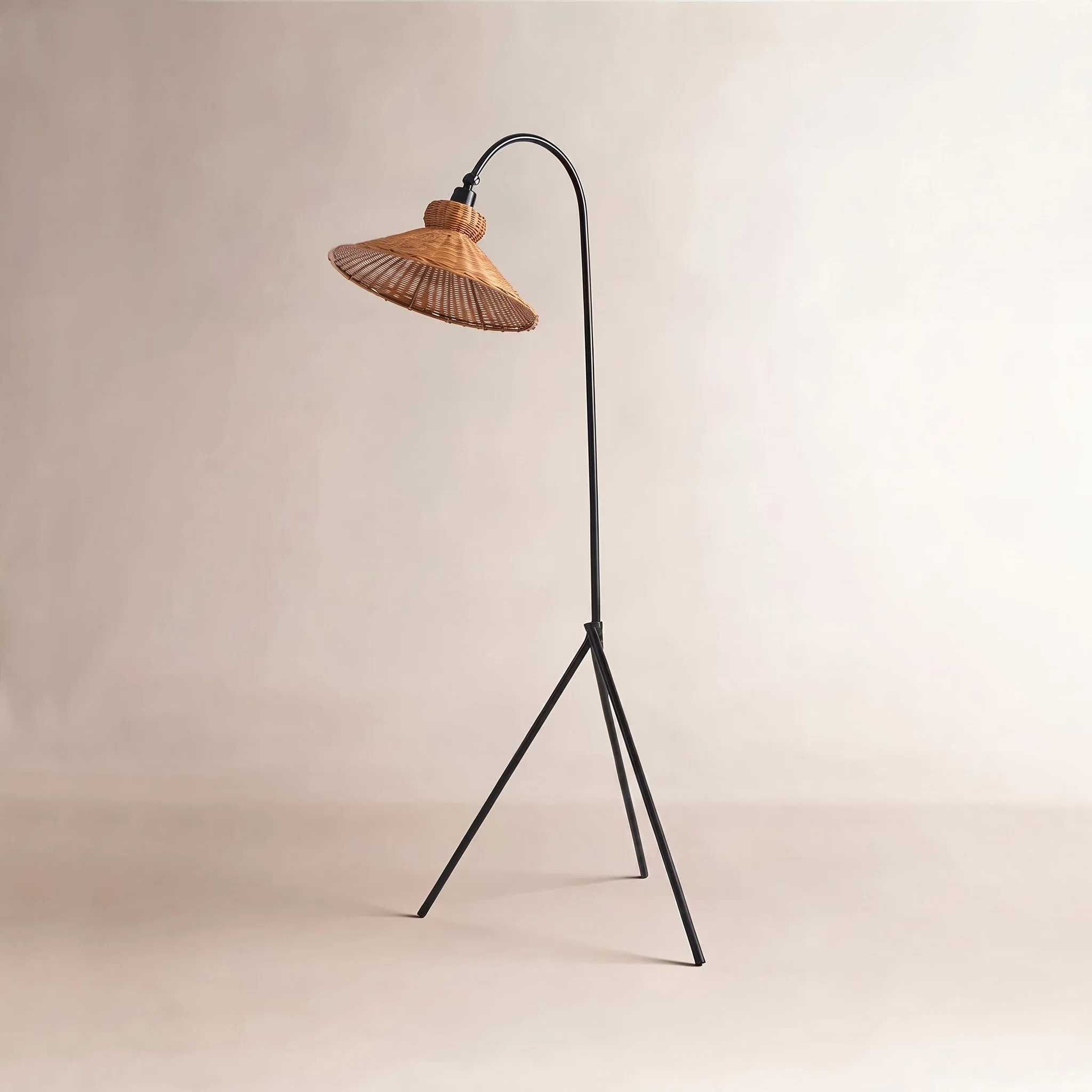 Plumeria 64'' Black Arched/Arc Floor Lamp | Joss & Main