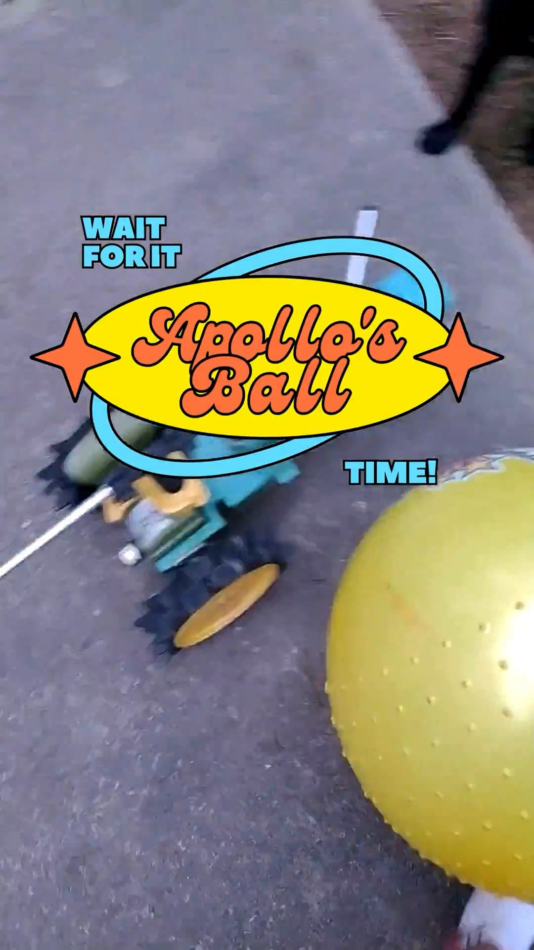 POV:  Life with Apollo (THE BALL)
He loves chasing this ball around.  Hurts my feelings a little because he forgets I’m even there.  Great mental stimulation and exercise for him.


#LTKActive #LTKMothersDay #LTKdayinmylife