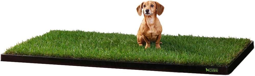 DoggieLawn XL - Real Grass Disposable Pet Potty - 48 x 24 Inches with Plastic Tray - Potty Traini... | Amazon (US)