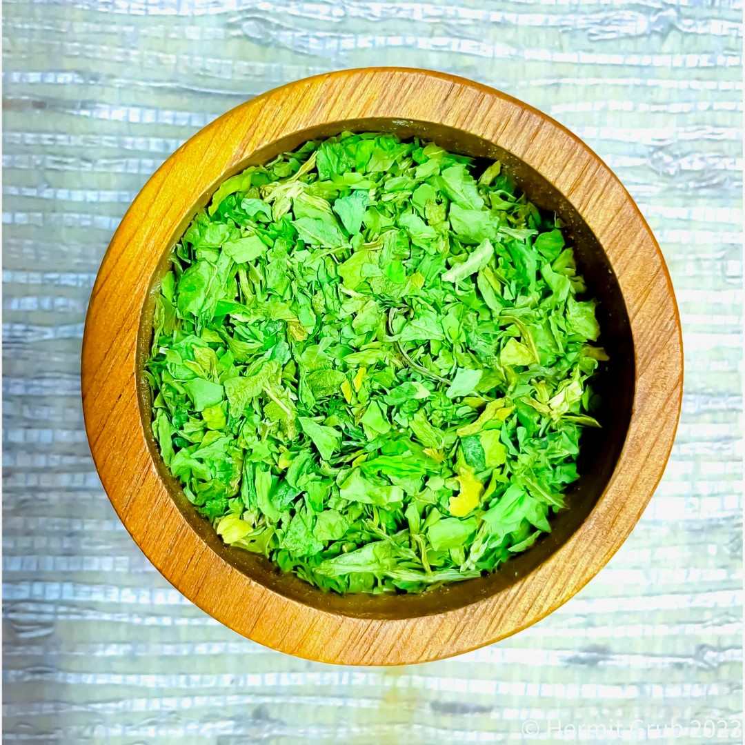 Spinach | Hermit Crab Food - Etsy | Etsy (US)