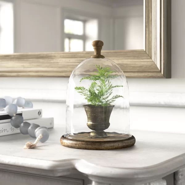 Zailin Cloche Or Water Globe | Wayfair North America