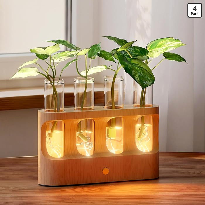 Rechargeable Plant Propagation Station with Stepless Dimming LED Light, Wooden Stand, 4 Glass Tes... | Amazon (US)