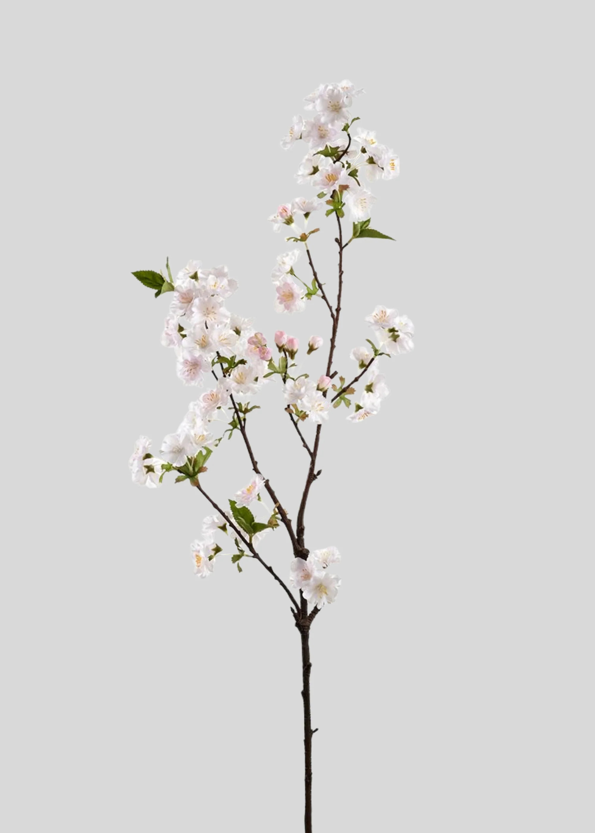 Cherry Blossom Branch in Blush | Faux Spring Flowers | Afloral | Afloral