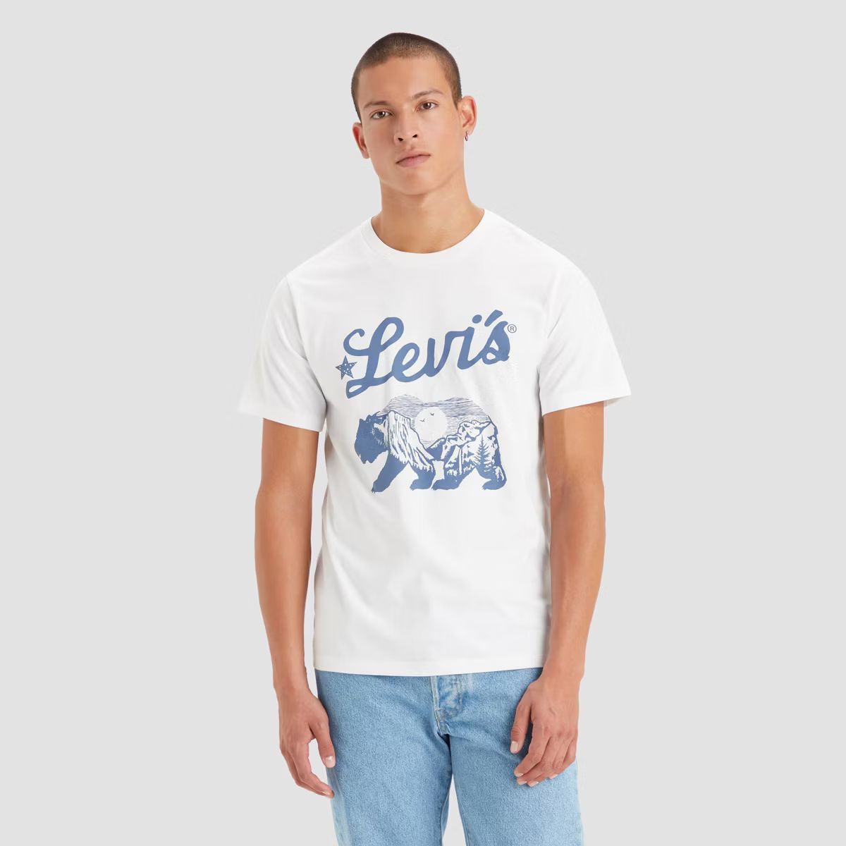 Levi's® Men's Scenic Bear Short Sleeve T-Shirt - White | Target