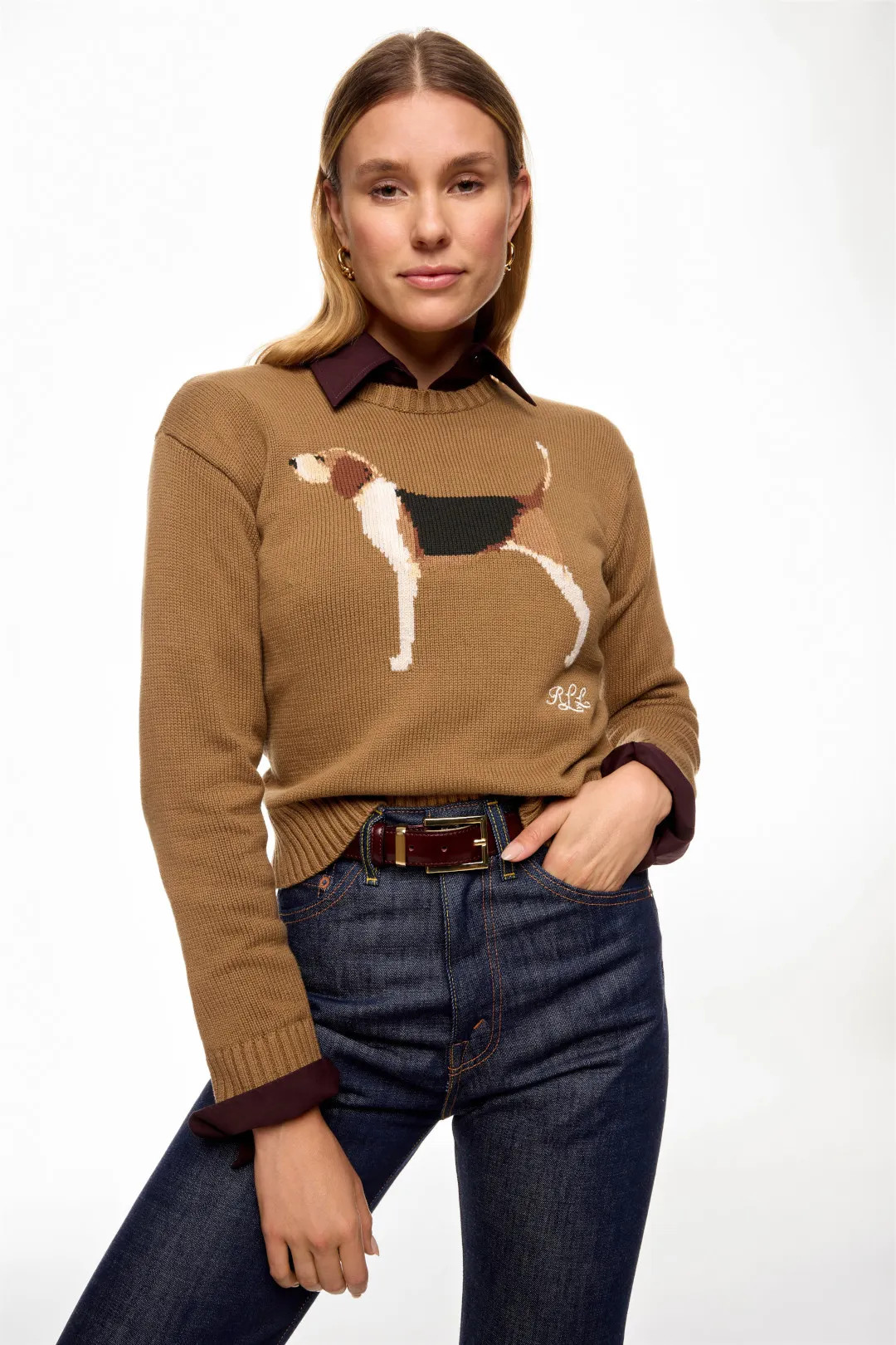 Brown Dog Sweater | Rent the Runway