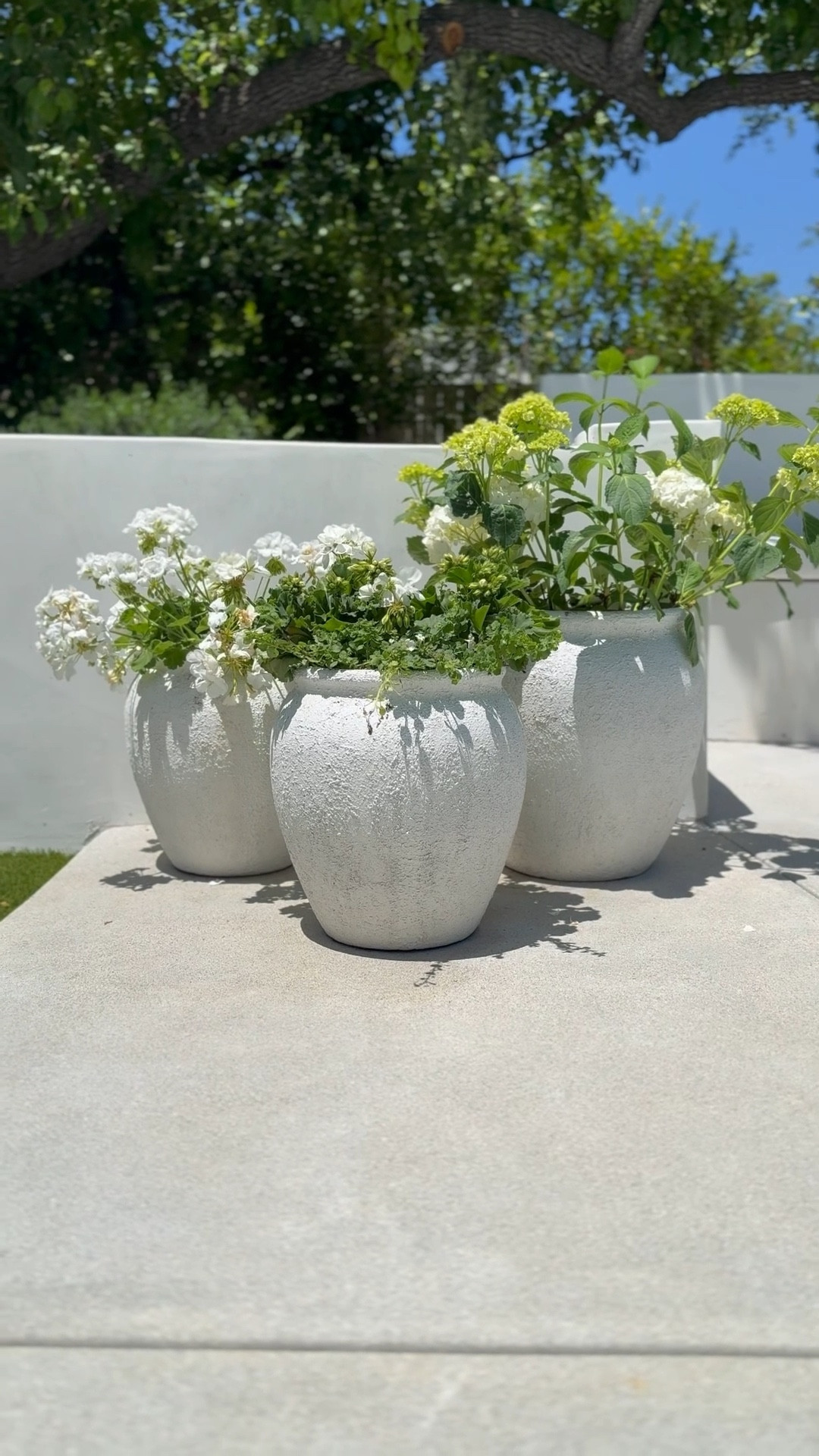 The prettiest affordable outdoor larger planters! I just added another to our backyard pool area, I love them so much! 

#LTKSeasonal #LTKFindsUnder50 #LTKHome