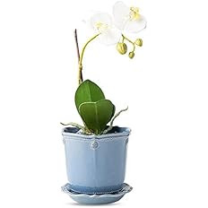 Juliska Berry & Thread Chambray 5.25" Planter & Saucer | Amazon (US)