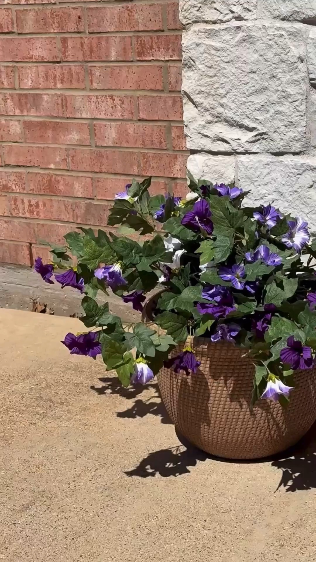 Faux flowers that look real! #flowers #frontporch #home 

#LTKBeauty #LTKdayinmylife #LTKHome