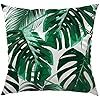 HGOD DESIGNS Tropical Leaf Throw Pillow Case,Beautiful Tropical Palm Tree Leaves Design Satin Cus... | Amazon (US)