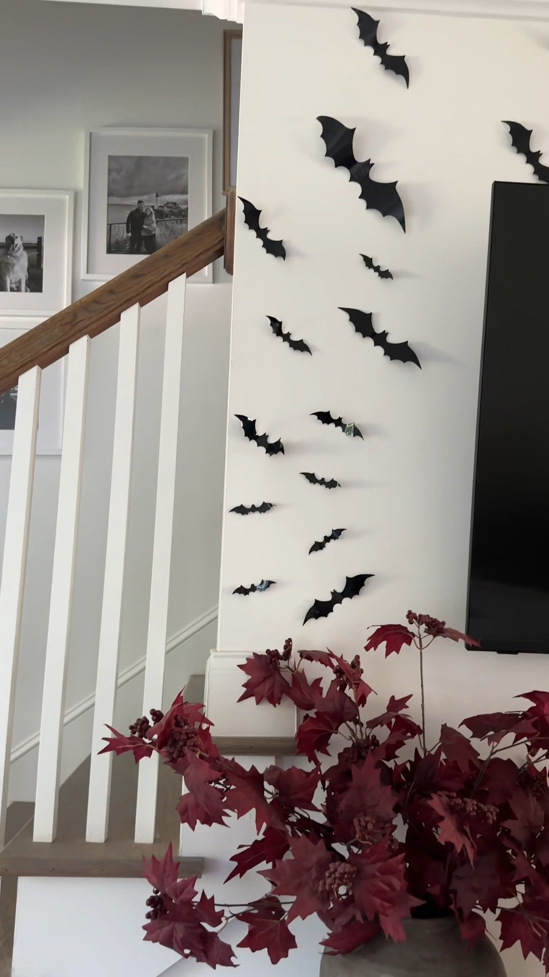 Creating our Halloween bat wall! 

#LTKFindsUnder50 #LTKHalloween #LTKHome