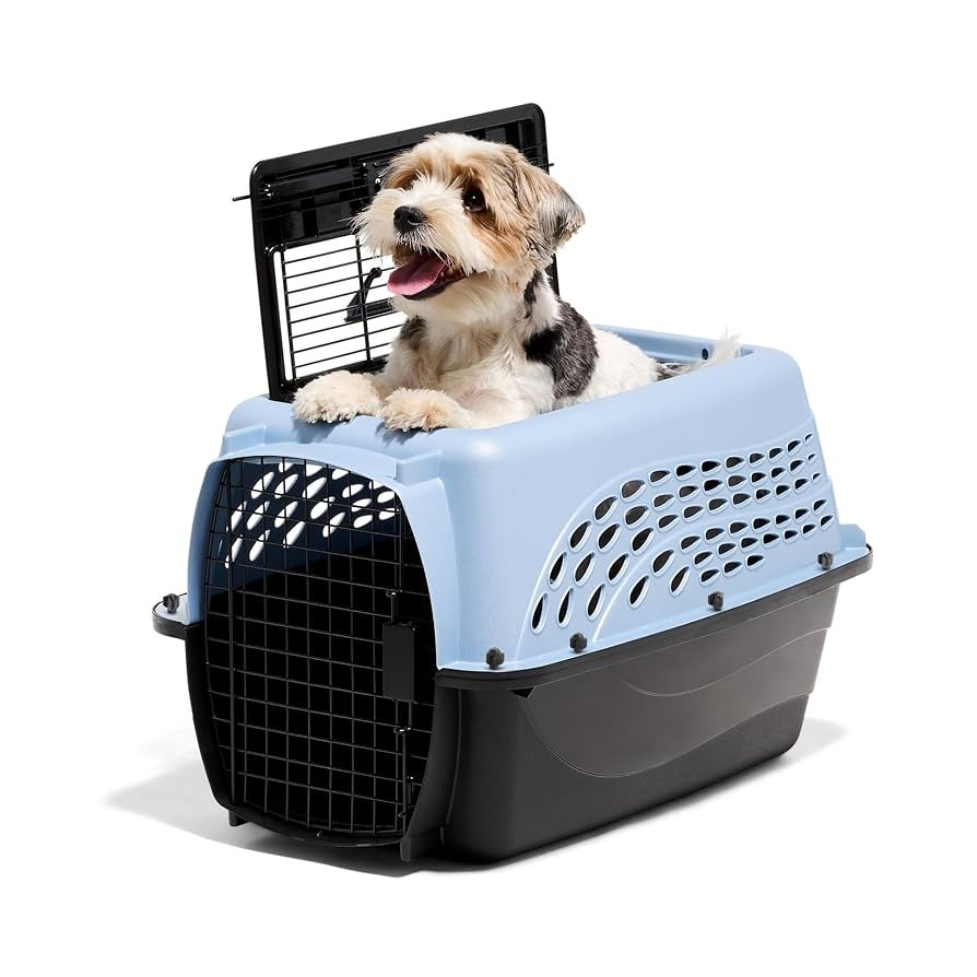Petmate Dog Crates for Small Dogs & Cat Carriers, Two-Door Plastic Pet Kennel, Top & Front Loadin... | Amazon (US)
