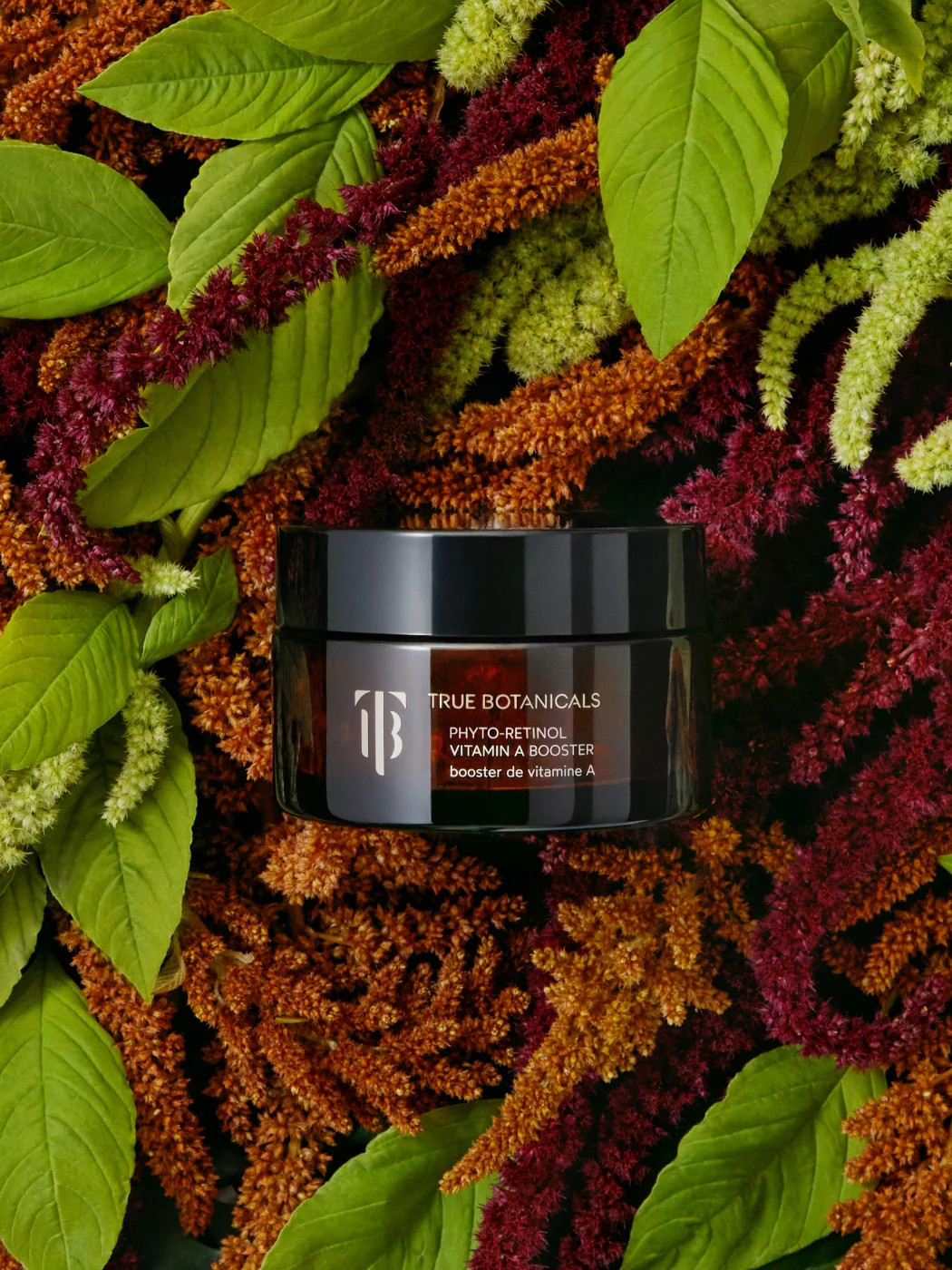 Phyto-Retinol Vitamin A Booster | True Botanicals