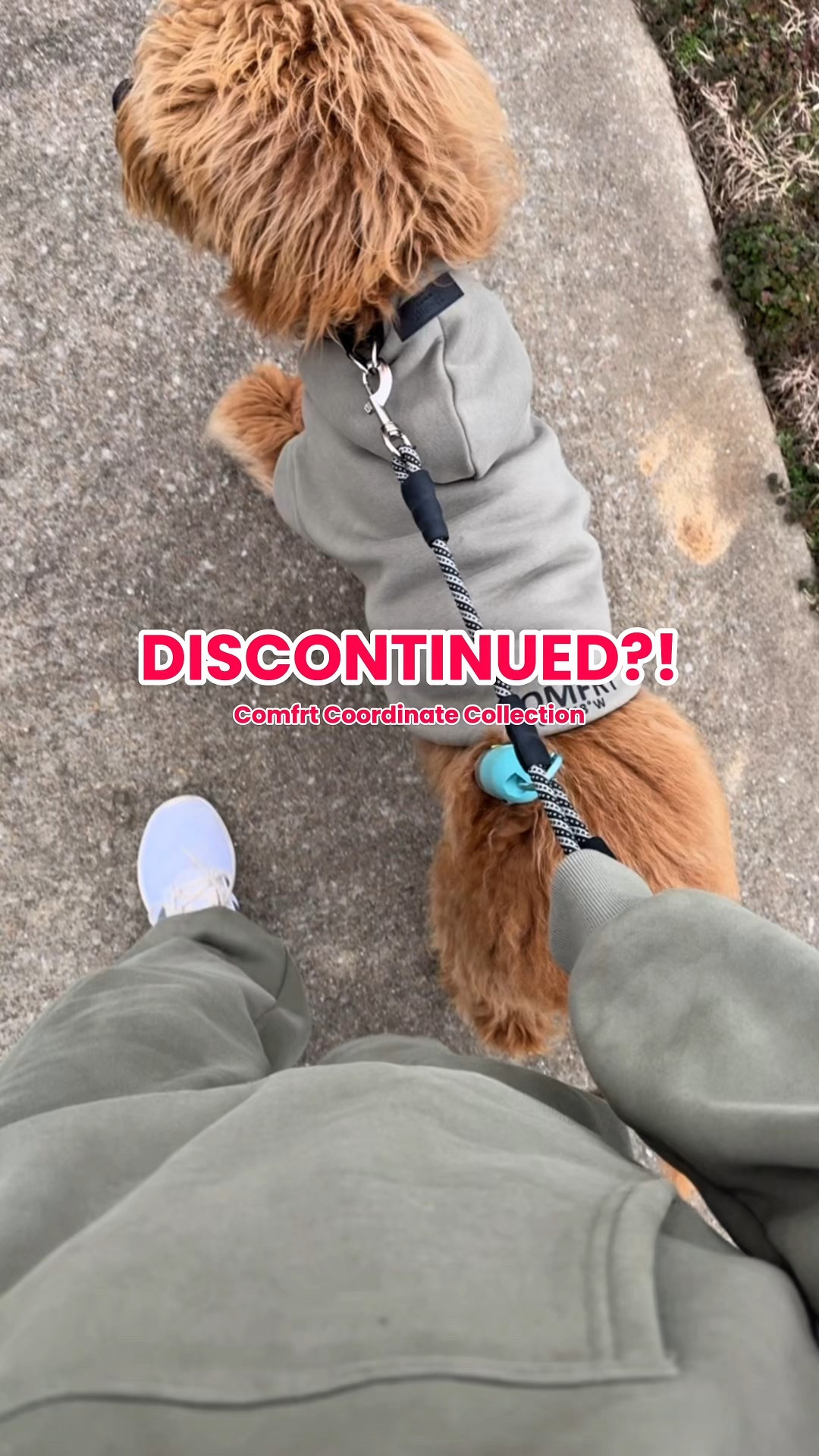 What do you mean DISCONTINUED ⁉️ 

#comfrt #comfrtclothing #hoodieseason #dogclothing #doghoodie #matchingoutfits #fallfashion #cozyseason #comfycozy 

#LTKFamily #LTKMidsize #LTKPets