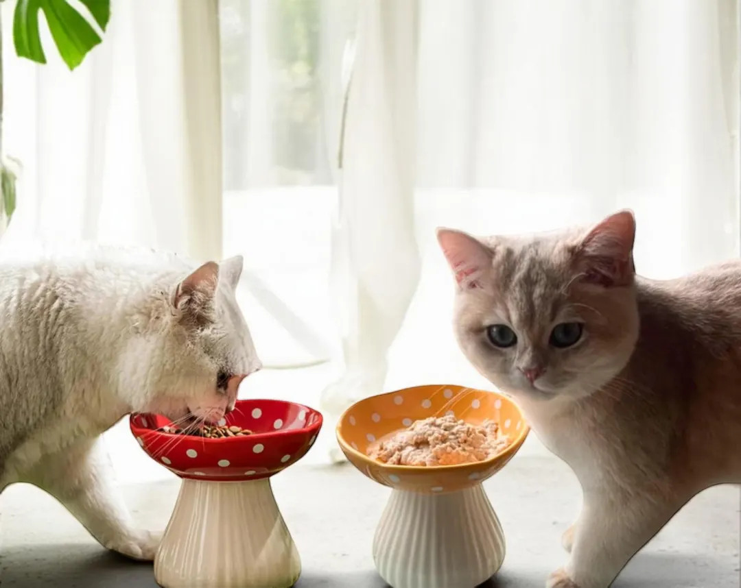Mushroom Ceramic Pet Bowl | Elevated Cat Feeder | Raised Dog Water Bowl | Dog Dishes | Elevated D... | Etsy (US)