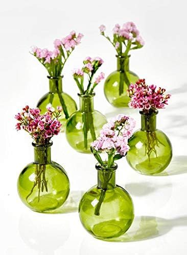 Serene Spaces Living Set of 6 Small Green Ball Bud Vases, Transparent Glass Vases for Weddings, Even | Amazon (US)