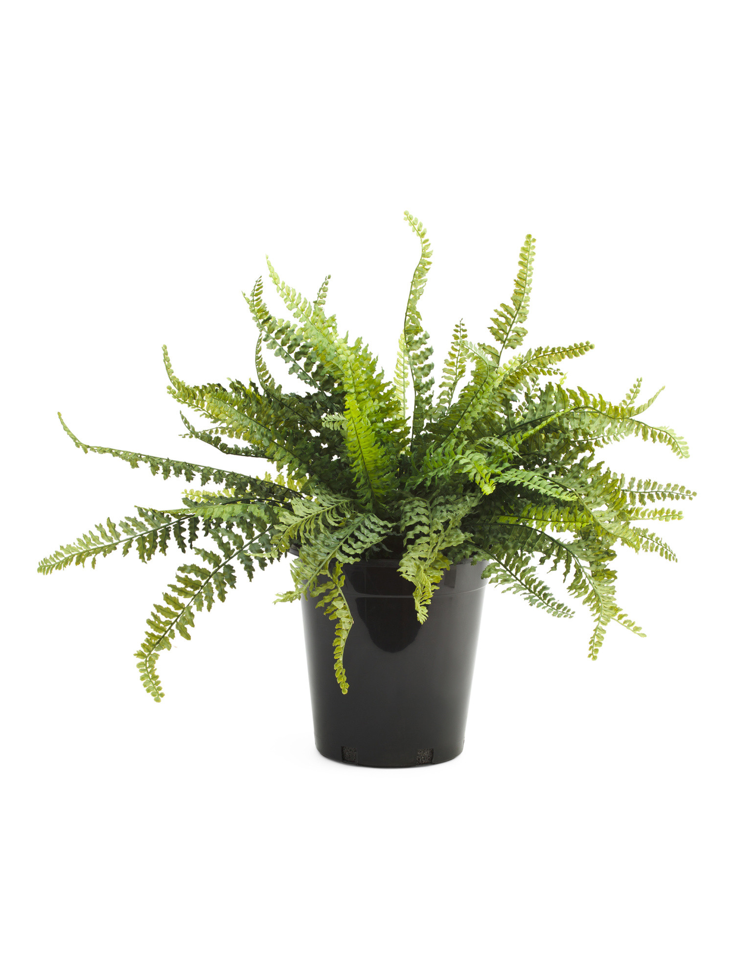 23in Uv Resistant Outdoor Safe Real Touch Boston Fern In Drop In Pot | Plants & Planters | Marsha... | Marshalls